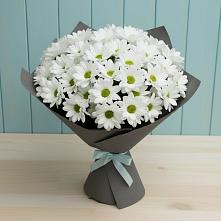 Букет цветов из:  Хризантемы в Волжске