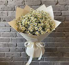 Букет цветов из:  Ромашки #REPLACE_PRED# Волжске