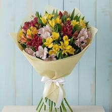 Букет цветов из:  Альстромерии в Волжске
