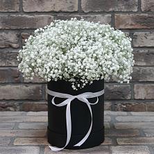Цветочная композиция из Гипсофила в шляпной коробке в Волжске